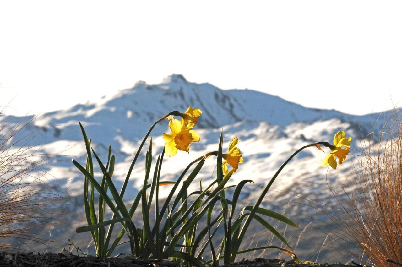 Hawkridge Alpine Suite Queenstown Eksteriør bilde